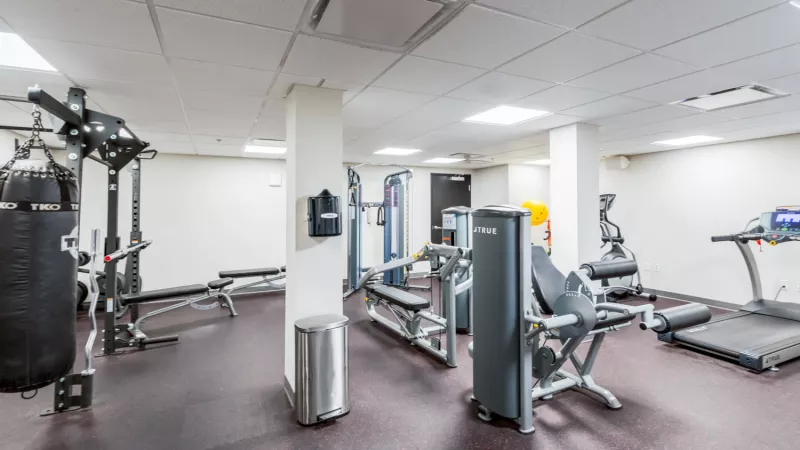 Well-lit gym featuring a punching bag, various weight machines, benches, and a treadmill on dark flooring.