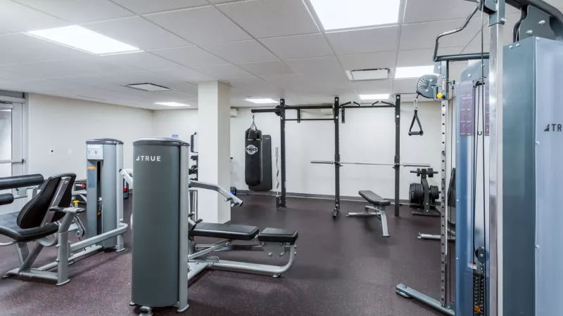 A well-lit gym with various weight machines, benches, a punching bag, and a squat rack on a dark floor.