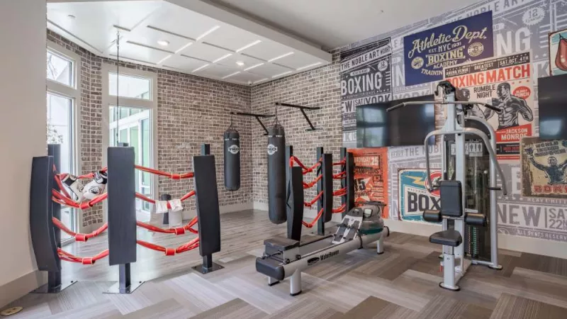 Gym with a black boxing ring with red ropes, punching bags, a rowing machine, weight machine, and boxing graphic wall.