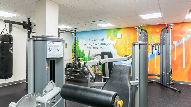 Gym with weight machines, a punching bag, and a vibrant mural featuring trees and abstract colors on the far wall.