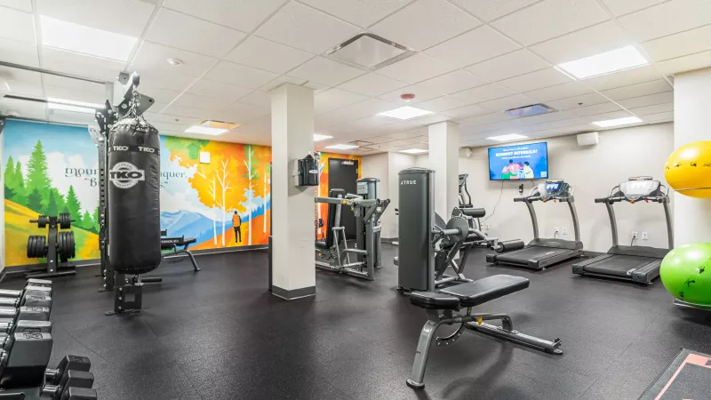 Bright gym with a black punching bag, weights, treadmills, a weight bench, and colorful landscape murals on the wall.
