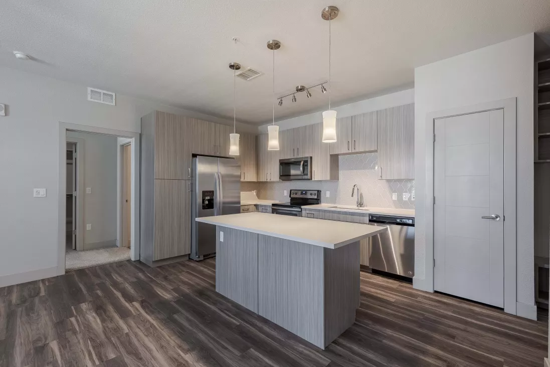 Modern kitchen featuring light grey cabinets, stainless steel appliances, a central island, and dark wood-look flooring.